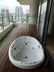 Skypark @ Somerset (D9), Apartment #461137291